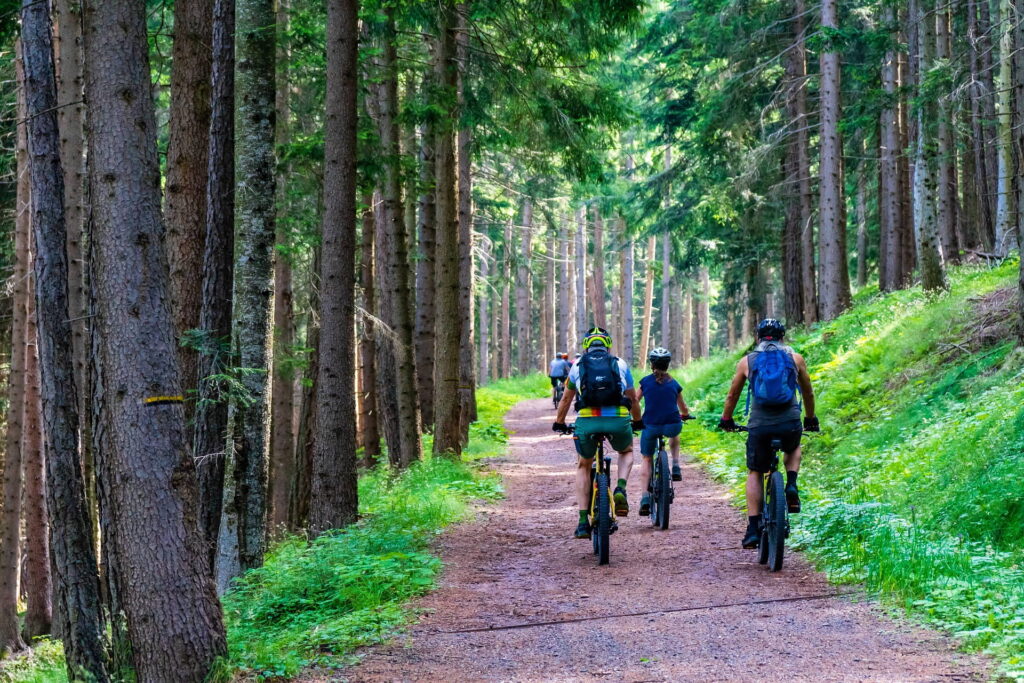 Bike Tour